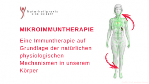 Mikroimmuntherapie – Das Immunsystem ins Gleichgewicht bringen