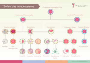 Zellen des Immunsystems