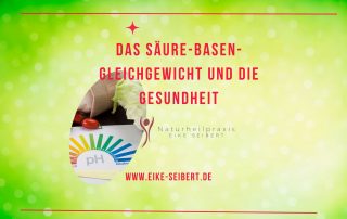 Säuren-Basen-Haushalt - Heilpraktikerin Eike Seibert in Landshut - Header
