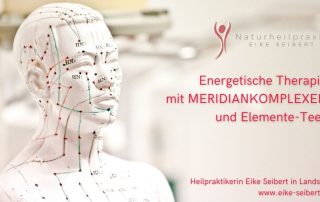 Meridiankomplexe und Elemente-Tees - Naturheilpraxis Eike Seibert in Landshut