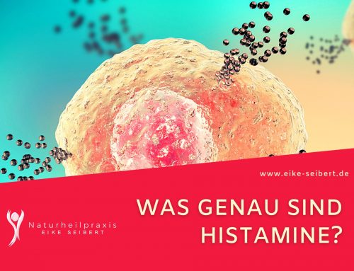 Was genau sind Histamine?